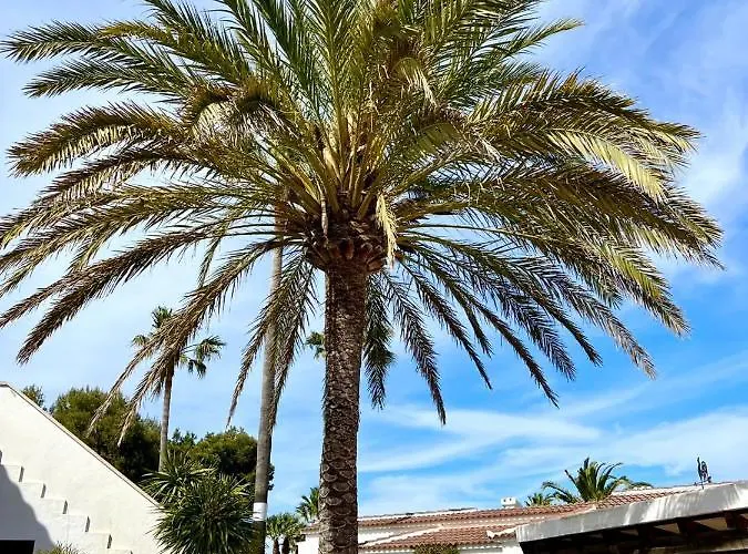 Menorca Chic Near & Harbour *