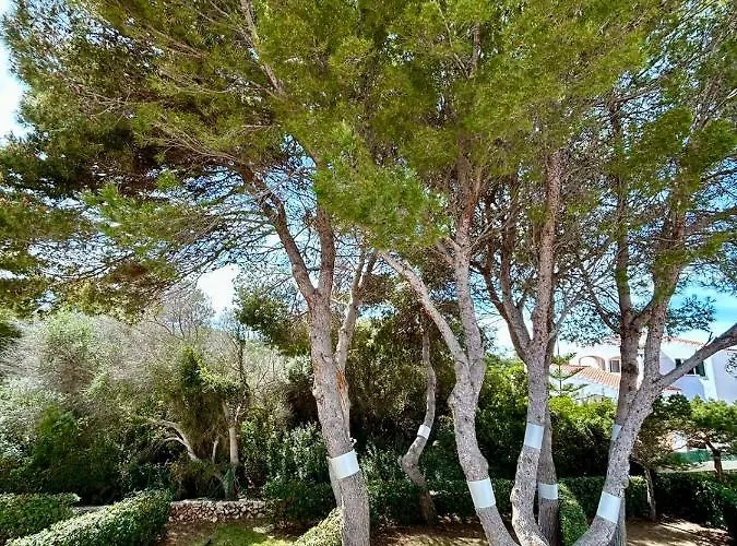 Menorca Chic Near & Harbour